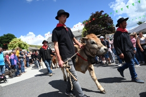 Le Fin Gras, emblème du Mézenc, fêté à Saint-Front (vidéo)