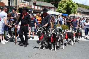 Le Fin Gras, emblème du Mézenc, fêté à Saint-Front (vidéo)