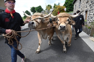 Le Fin Gras, emblème du Mézenc, fêté à Saint-Front (vidéo)