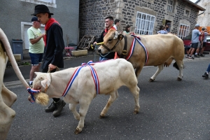 Le Fin Gras, emblème du Mézenc, fêté à Saint-Front (vidéo)