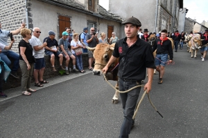 Le Fin Gras, emblème du Mézenc, fêté à Saint-Front (vidéo)