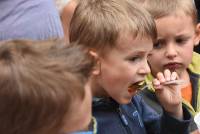 Araules : une ruche d&#039;enfants et de gourmands à la bibliothèque