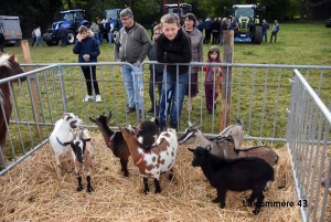 Saint-Julien-Pinet : la foire agricole de retour dimanche, une expo avicole dès samedi