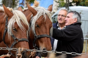 Saint-Julien-Pinet : la foire agricole de retour dimanche, une expo avicole dès samedi