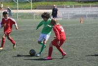 Monistrol-sur-Loire : 320 footballeurs U10 et U11 au tournoi