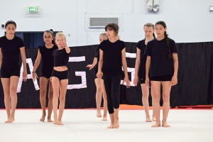 Sainte-Sigolène : dans le monde imaginaire des gymnastes