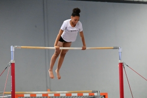 Sainte-Sigolène : dans le monde imaginaire des gymnastes