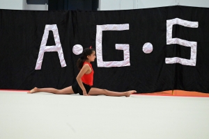 Sainte-Sigolène : dans le monde imaginaire des gymnastes