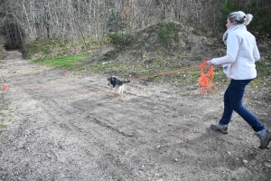 Beauzac : des chiens et leurs maîtres testent le mantrailing, la recherche de personnes disparues