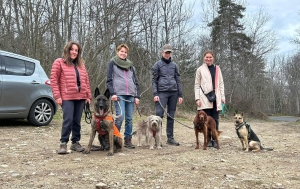 Beauzac : des chiens et leurs maîtres testent le mantrailing, la recherche de personnes disparues