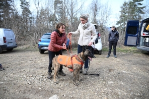 Beauzac : des chiens et leurs maîtres testent le mantrailing, la recherche de personnes disparues