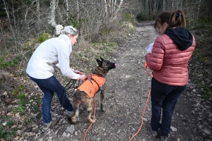 Beauzac : des chiens et leurs maîtres testent le mantrailing, la recherche de personnes disparues