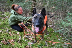 Beauzac : des chiens et leurs maîtres testent le mantrailing, la recherche de personnes disparues