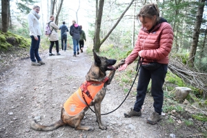 Beauzac : des chiens et leurs maîtres testent le mantrailing, la recherche de personnes disparues