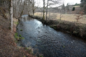 Un projet de deux microcentrales hydroélectriques sur la Dunière inquiète les pêcheurs