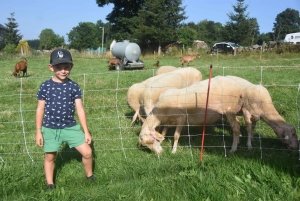 Aux Vastres, une bergerie fait visiter son élevage de brebis et chèvre ce week-end