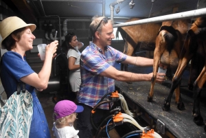 Aux Vastres, une bergerie fait visiter son élevage de brebis et chèvre ce week-end