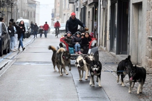 Sainte-Sigolène bat son plein tout le week-end avec le marché de Noël et Téléthon