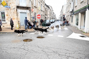 Sainte-Sigolène bat son plein tout le week-end avec le marché de Noël et Téléthon