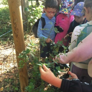 On va apprendre à vivre en harmonie avec la nature à l&#039;école de Grazac