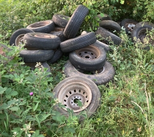 Yssingeaux : une plainte déposée pour dépôt sauvage d&#039;ordures dans les bois