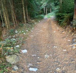 Yssingeaux : une plainte déposée pour dépôt sauvage d&#039;ordures dans les bois