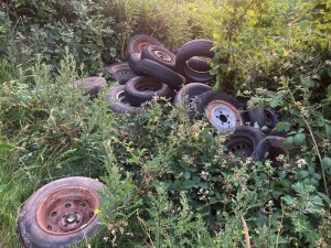 Yssingeaux : une plainte déposée pour dépôt sauvage d&#039;ordures dans les bois