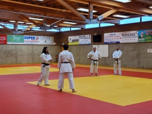 Formation des enseignants bénévoles de karaté et disciplines associées à Yssingeaux