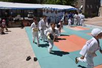 Des tatamis et des judokas sur la place de la Victoire