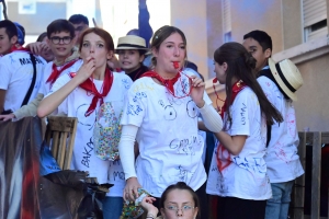 Saint-Maurice-de-Lignon : le corso anime le village (photos + vidéo)