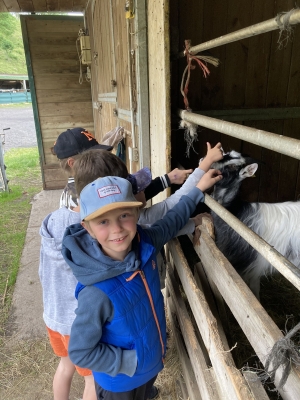 Saint-Maurice-de-Lignon : les CP-CE1 de l&#039;école publique dans une ferme pédagogique