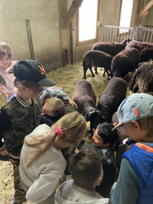 Saint-Maurice-de-Lignon : les CP-CE1 de l&#039;école publique dans une ferme pédagogique