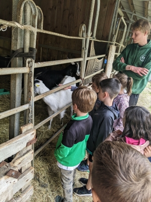 Saint-Maurice-de-Lignon : les CP-CE1 de l&#039;école publique dans une ferme pédagogique