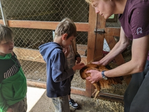 Saint-Maurice-de-Lignon : les CP-CE1 de l&#039;école publique dans une ferme pédagogique