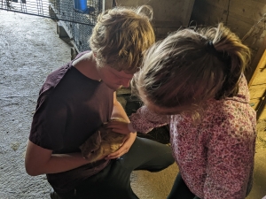 Saint-Maurice-de-Lignon : les CP-CE1 de l&#039;école publique dans une ferme pédagogique