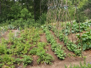 Monistrol-sur-Loire : les jardiniers préparent la belle saison