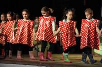 Yssingeaux : le spectacle de Noël des écoles publiques en images