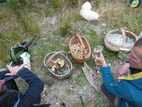 Valprivas : Champimystique organise des balades pour cueillir des champignons