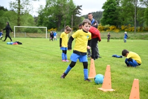 Les footballeurs en herbe concernés par la Journée nationale des débutants