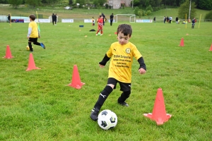 Les footballeurs en herbe concernés par la Journée nationale des débutants