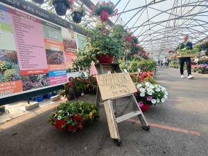 Yssingeaux : Chevalier et Frères vous accompagne pour la plantation de vos légumes et fleurs