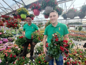 Yssingeaux : Chevalier et Frères vous accompagne pour la plantation de vos légumes et fleurs