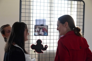 Yssingeaux : une exposition magique au lycée Eugénie-Joubert