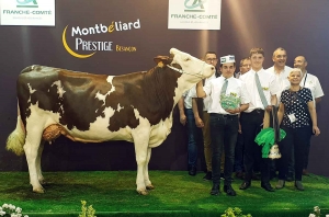 Saint-Pal-de-Chalencon : Lune de miel grande championne du Montbeliard Prestige 2019