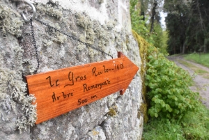 Raucoules : le chêne du château de Figon reconnu comme &quot;Arbre remarquable&quot;