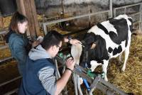 Six lycéens montent à Paris au Salon de l&#039;agriculture