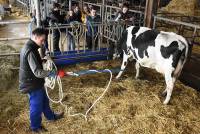 Six lycéens montent à Paris au Salon de l&#039;agriculture