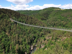 Les CE2-CM1 de l’école de Grazac à la passerelle des Gorges du Lignon