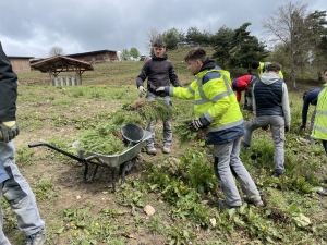 Yssingeaux : pourquoi le lycée George-Sand mène le projet &quot;Zéro Séneçon du Cap&quot;