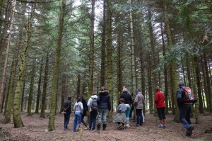 Saint-Pal-de-Mons : une balade pour comprendre la forêt de Haute-Loire